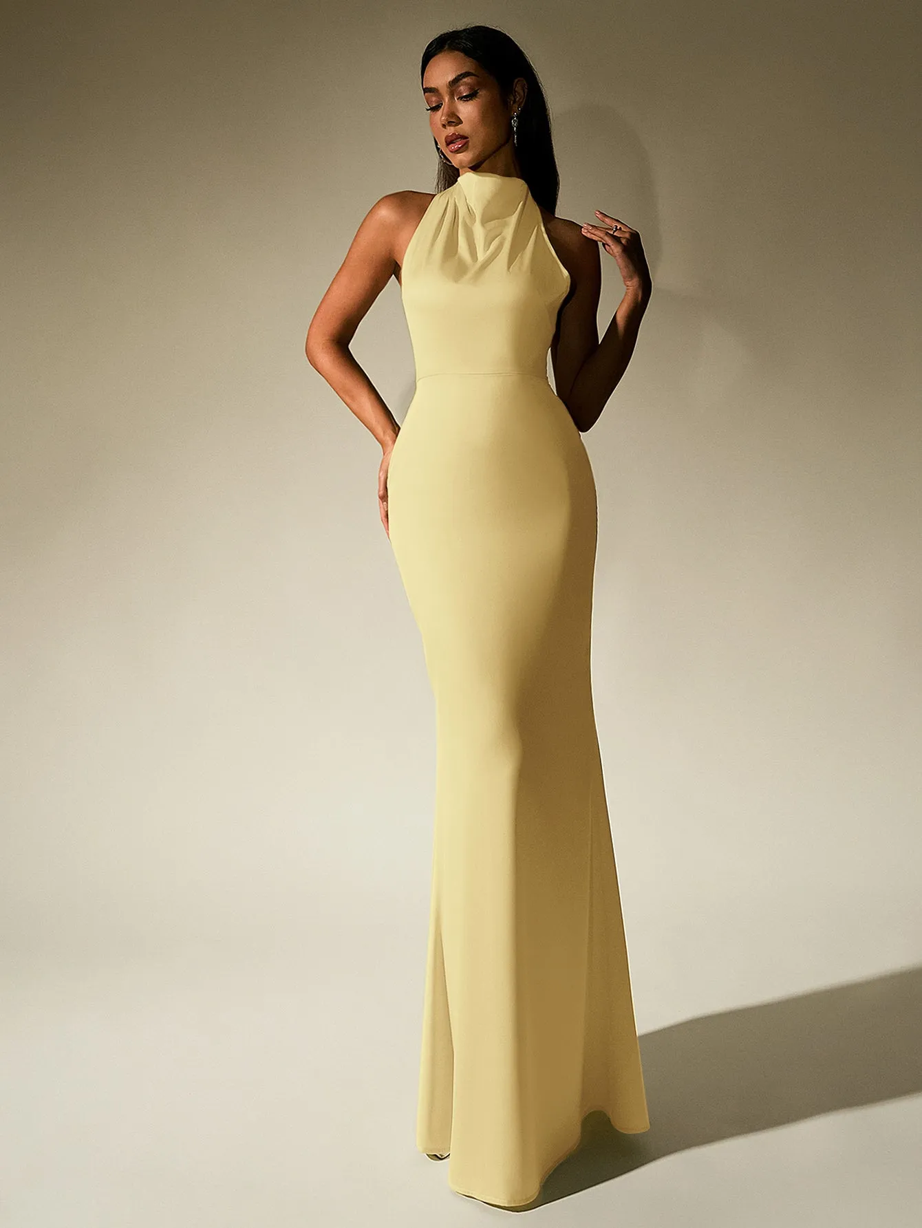 Backless Halter Stand Collar Satin Dress