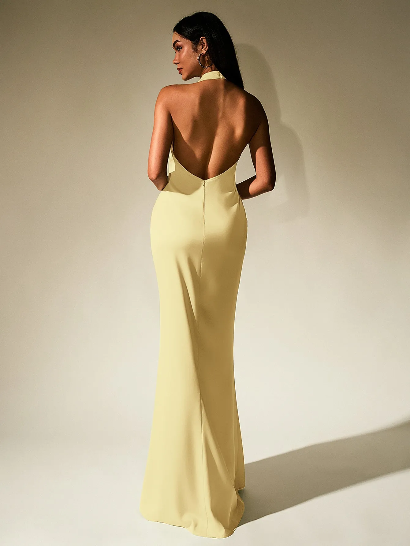 Backless Halter Stand Collar Satin Dress