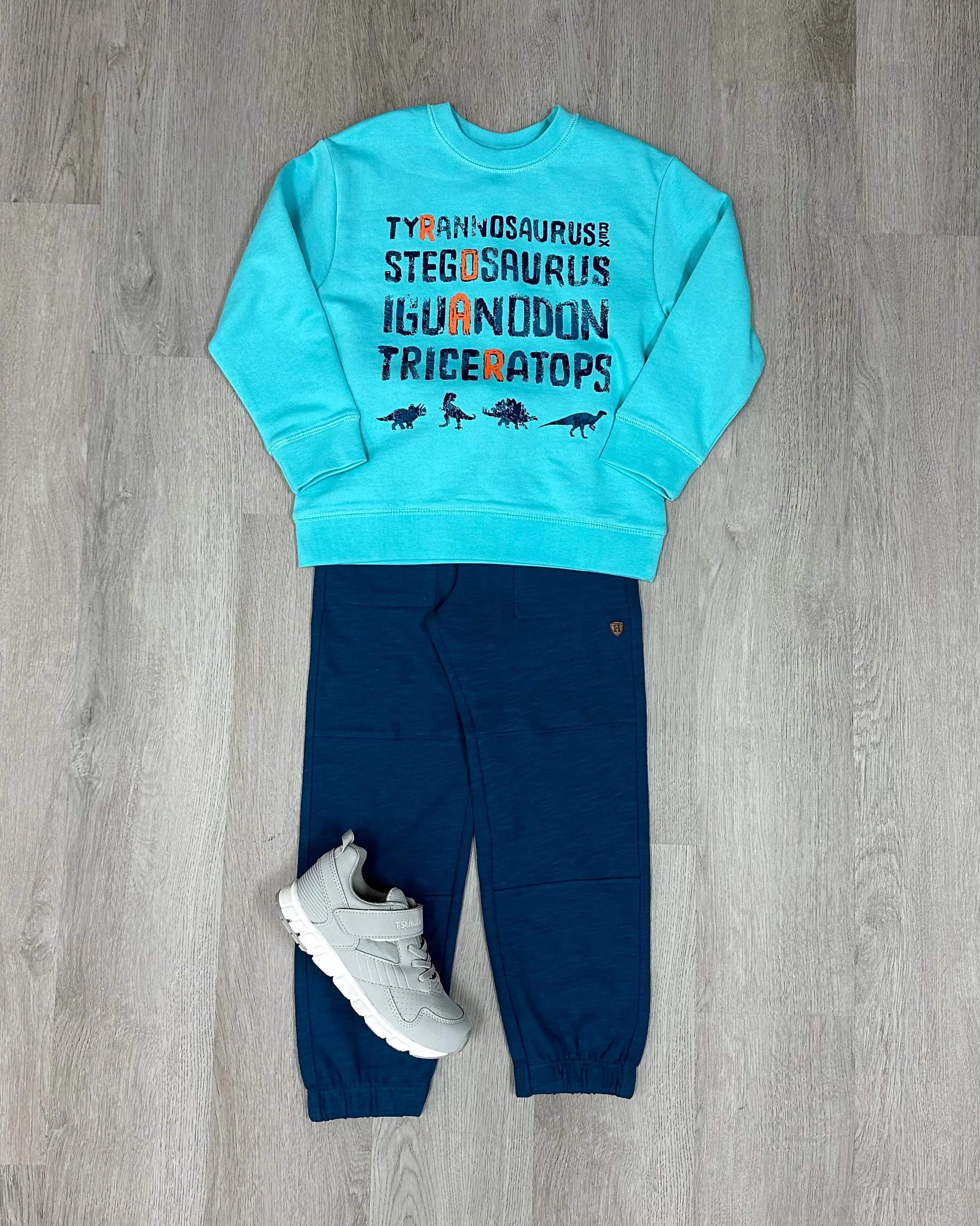 Dinosaur Roar Pull Over Sweatshirt