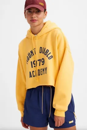 Levi's Gold Tab '90s Hoodie Sweatshirt