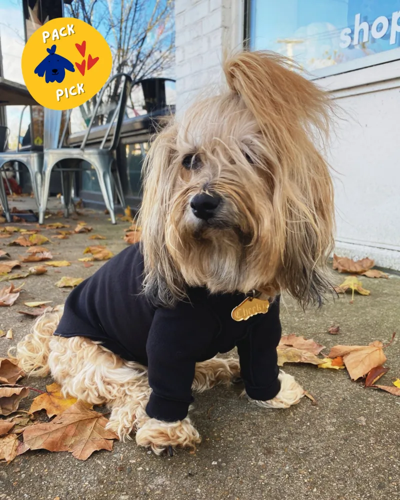 Long-Sleeve Pullover Stretch Dog Fleece in Black (Made in the USA, Dog & Co. Exclusive!)