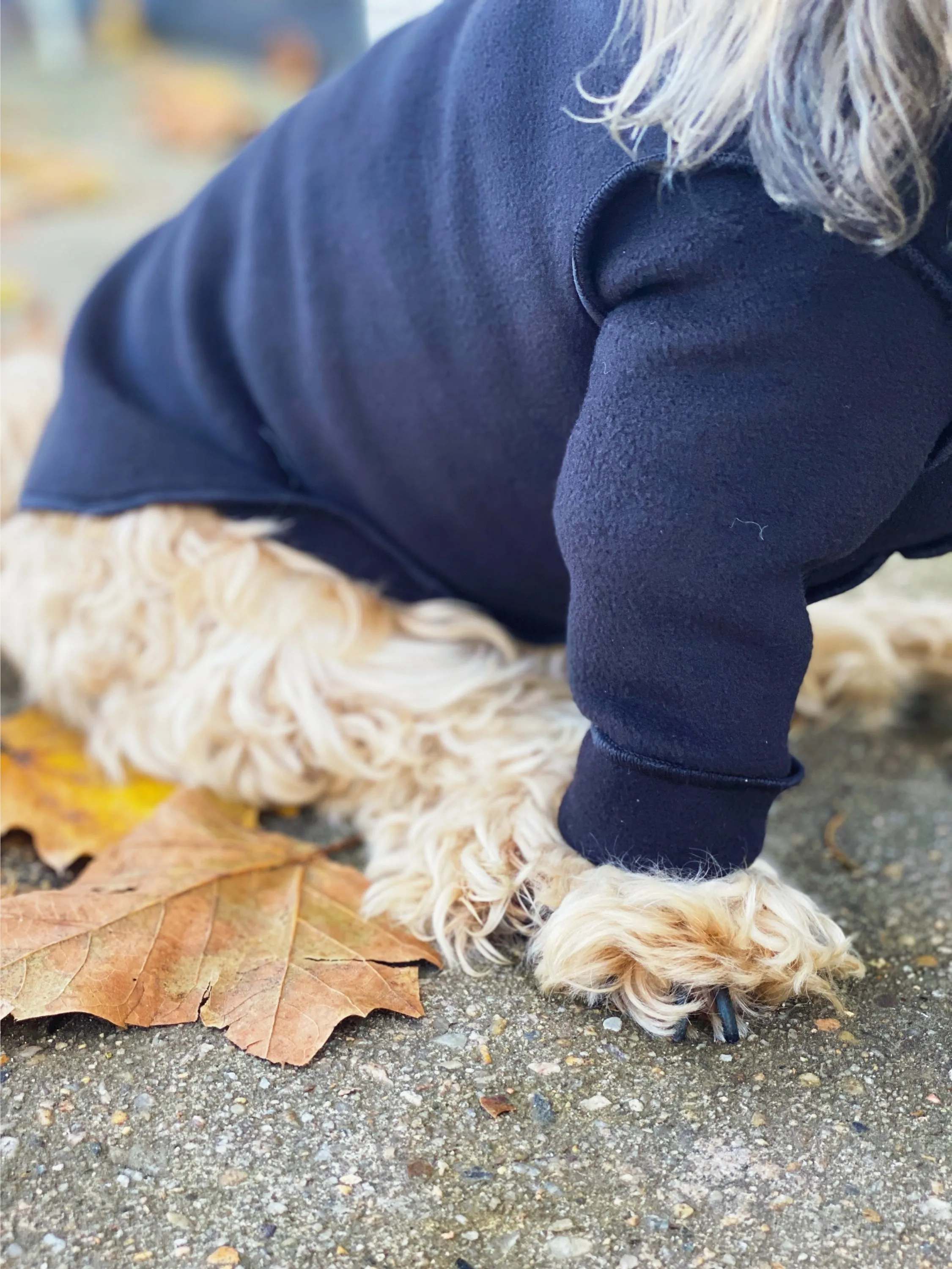 Long-Sleeve Pullover Stretch Dog Fleece in Black (Made in the USA, Dog & Co. Exclusive!)