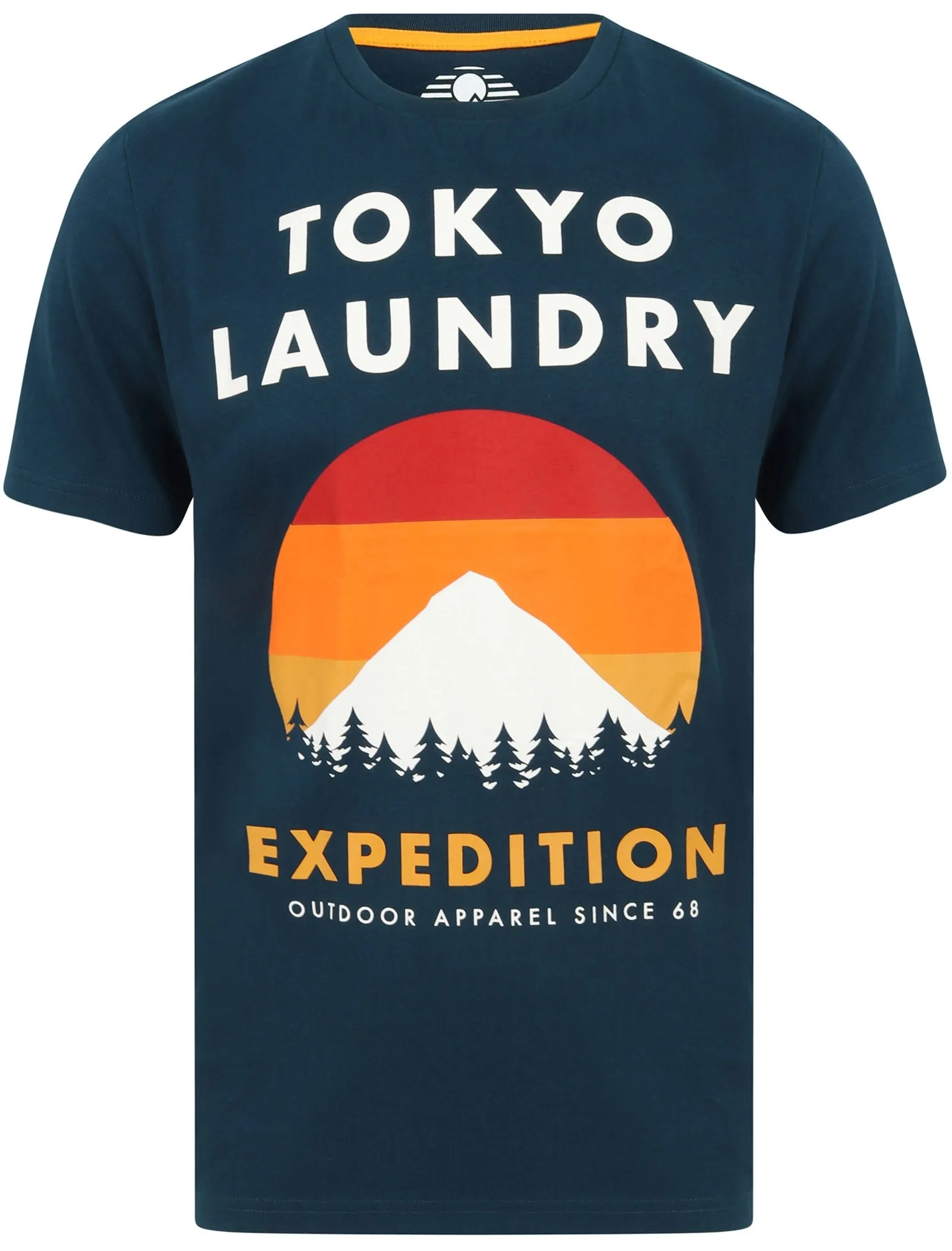 Platfield Motif Cotton Jersey T-Shirt In Gibralter Sea - Tokyo Laundry