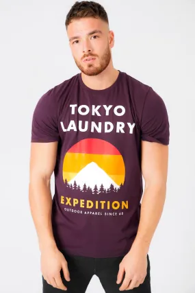 Platfield Motif Cotton Jersey T-Shirt In Plum Perfect - Tokyo Laundry