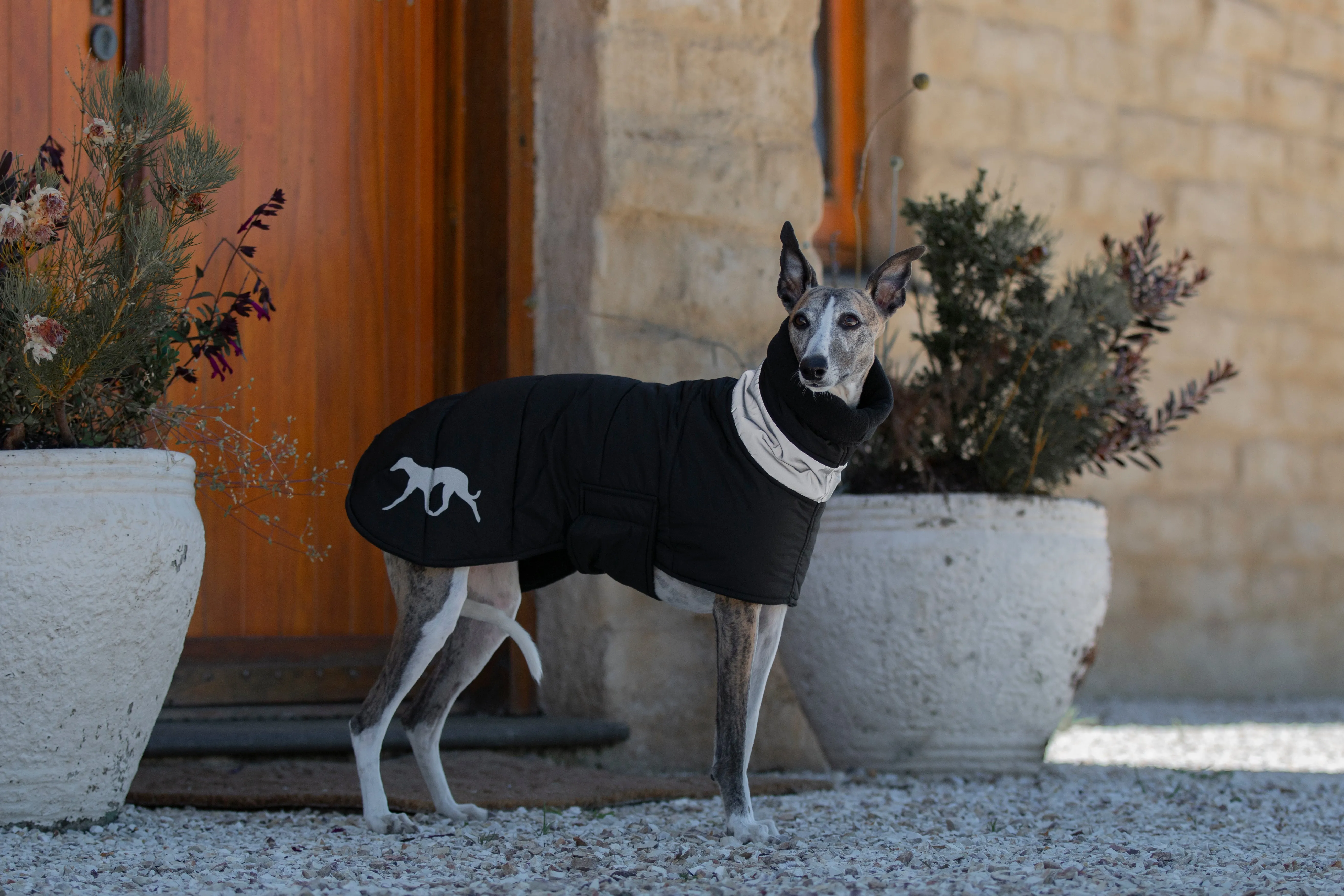 Wriggley Diggley Dog Barker Parker Jacket Black